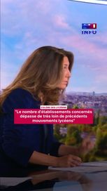 1417c1d2-0674-4440-af52-4628144494b4 La mobilisation « est surprenante, elle a une ampleur importante » : Laurent Nuñez
