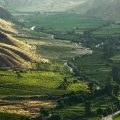 La renaissance viticole de Vayots Dzor