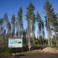 L&rsquo;arrêt des travaux de Google en Finlande pour une évaluation environnementale
