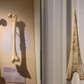Les stéréotypes et réalité des rôles de genre à la préhistoire