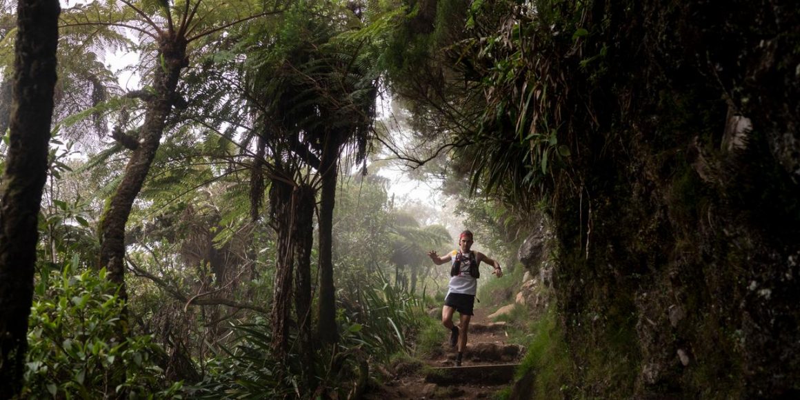 Un défi sportif et environnemental : La Diagonale des fous