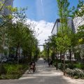 La végétalisation de l&rsquo;allée Lamartine à Pau