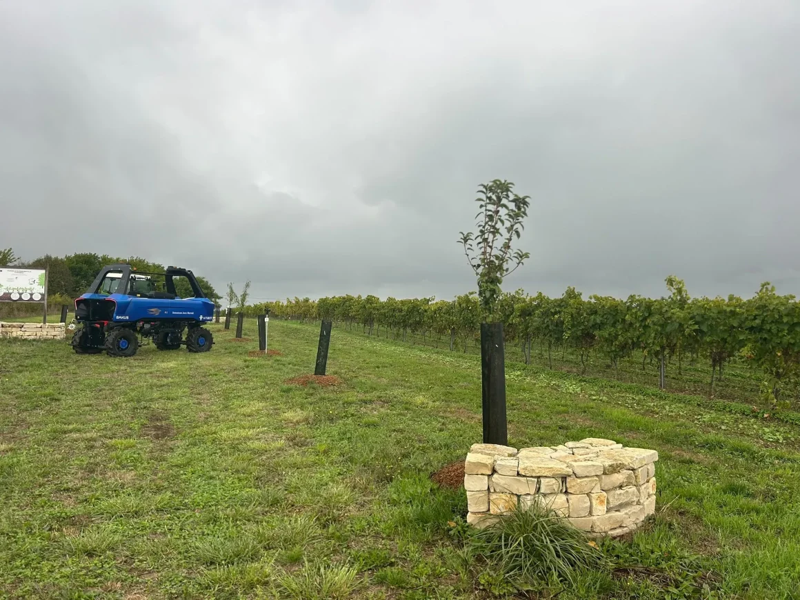 La Maison de Cognac Martell Innove Face aux Défis Climatiques