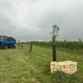 La Maison de Cognac Martell Innove Face aux Défis Climatiques