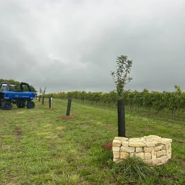 2f371e47-e9ee-44ca-a0b2-ad2f4e74a5cb La Maison de Cognac Martell Innove Face aux Défis Climatiques