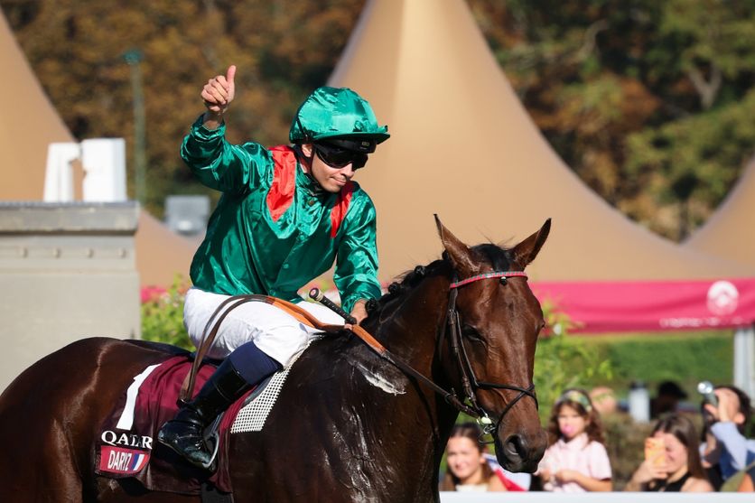 3f25a0b2-d78f-42ce-bd89-bf044f65bc7a Daryz remporte le Prix de l’Arc de Triomphe pour la deuxième fois