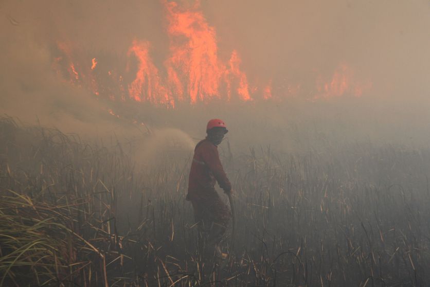 Wildfire breaks out in Indonesia Les Feux de Forêt en Indonésie et Leur Impact