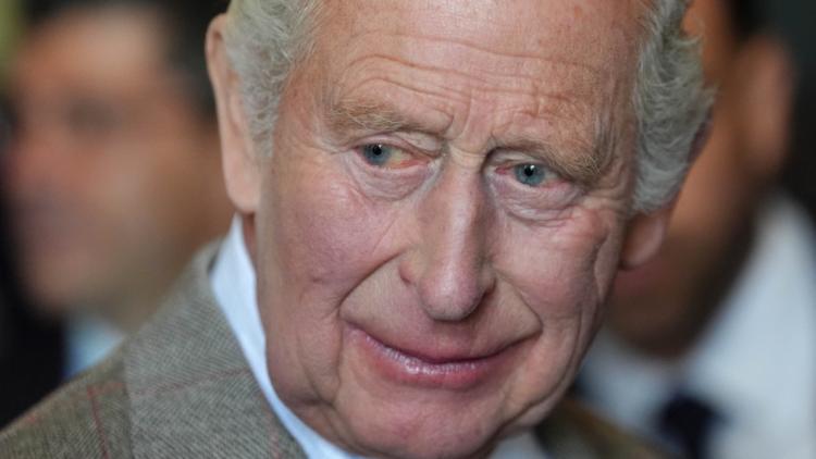 4c334a79-c43c-4a2b-b095-f3a1683e4743 Une œuvre de Charles III présentée dans la collection Burberry