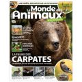 Le cycle annuel des guêpes et le phénomène de colonie