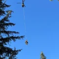Attaque de loups dans le Vercors : les répercussions sur l&rsquo;élevage