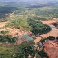 Analyse des enjeux environnementaux de la présidentielle au Brésil