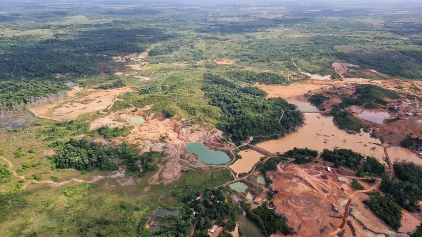 Flyover over the Amazon Analyse des enjeux environnementaux de la présidentielle au Brésil