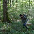 Recommandations et risques liés à la cueillette de champignons en France