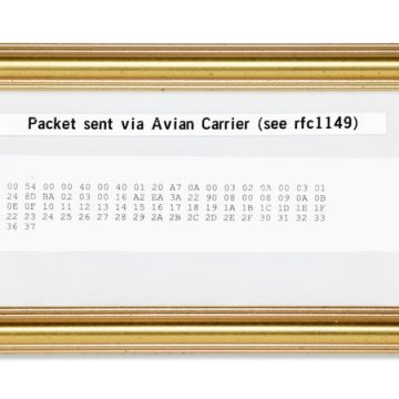 La Vente Historique d&rsquo;un Paquet IP Transporté par Pigeon Voyageur