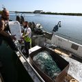 Le soutien du gouvernement aux pêcheurs face à la hausse des coûts du carburant
