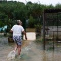 Inondations dans le sud-est de la France : bilan et mesures de sécurité