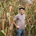 Le retour du maïs ancien dans les Pyrénées-Atlantiques