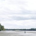 La sécheresse et la surexploitation du Danube