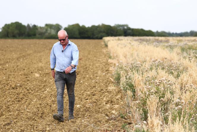 c2936b6c-e7d3-4bf9-923c-84f67962a61f Le Brexit et l’évolution des subventions agricoles au Royaume-Uni