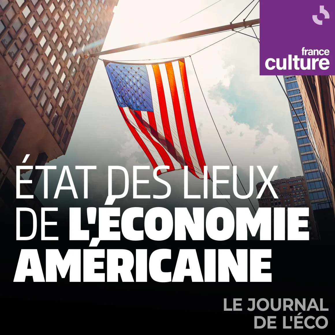 ce2414b0-a8c2-4f8f-a8d2-a5671066a83e Investissements dans l’IA : Un moteur fragile pour la croissance américaine