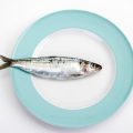 L&rsquo;ascension virale des sardines sur les réseaux sociaux