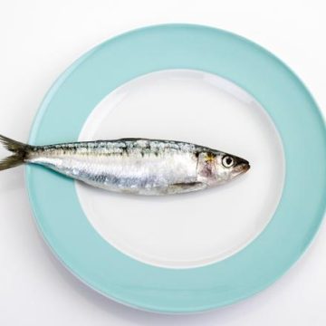 L&rsquo;ascension virale des sardines sur les réseaux sociaux