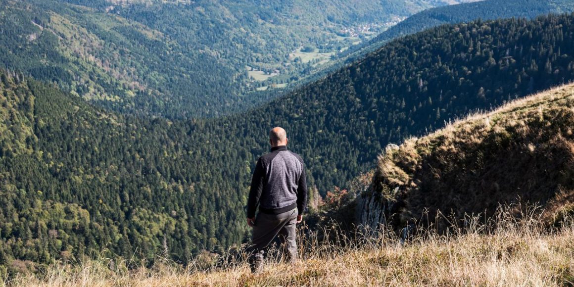 Retour estival des troupeaux dans les Vosges