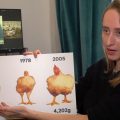 La consommation de poulet en France et les méthodes d&rsquo;élevage actuelles