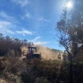 Evacuation du bois brûlé après des incendies massifs en Gironde