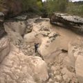 Sécheresse : Un Été Historique dans le Massif du Jura
