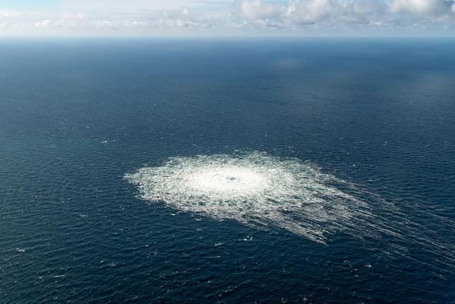 f7b8aa29-5c4e-4c99-8ab9-1c6d669a5739 Procès de Serhi Kouznietsov pour l’explosion des gazoducs Nord Stream