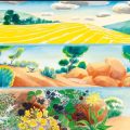 Sélection d&rsquo;albums de jeunesse par La Matinale du Monde