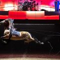 Les Folies Gruss: Un Spectacle Équestre Renouvelé Jusqu&rsquo;en Mars 2027